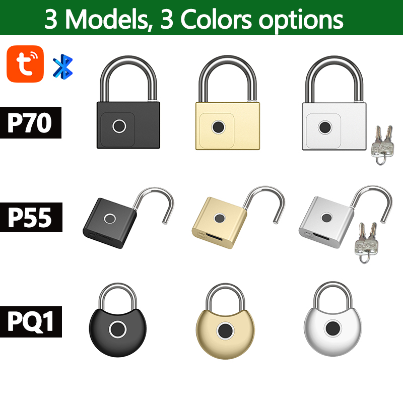 RAYKUBE Tuya Smart Padlock Fin - đánh giá và giá Smart Home Door Lock